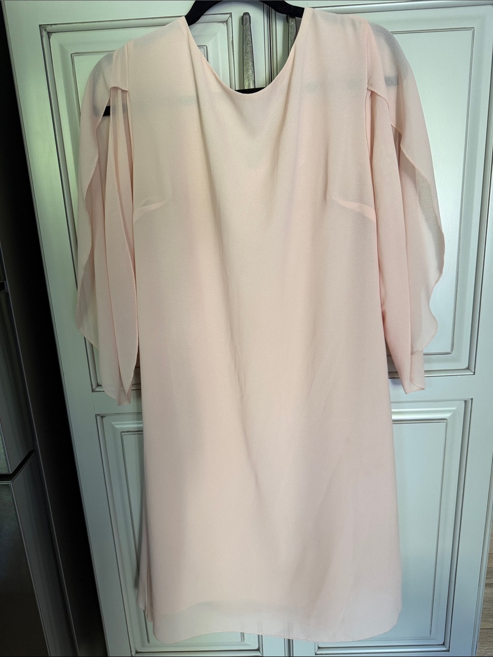 Elegant Light Pink Chiffon Sleeve Women's Dress. EUC Size Large. Wore Once